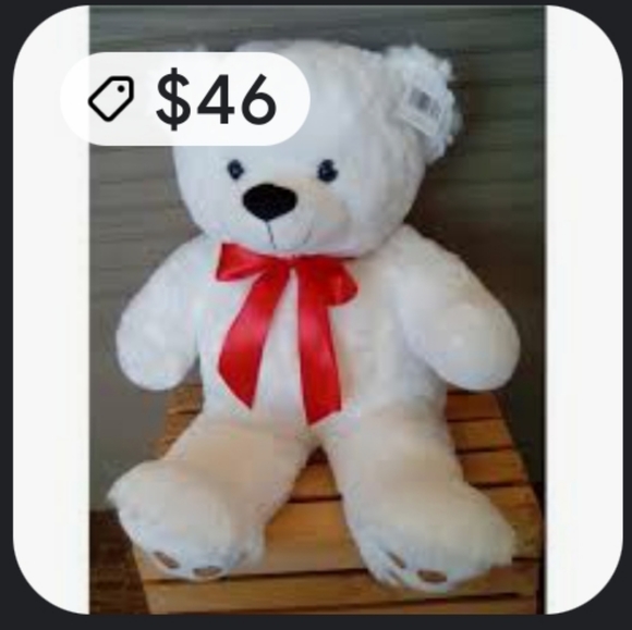 Bear - Picture 11 of 15